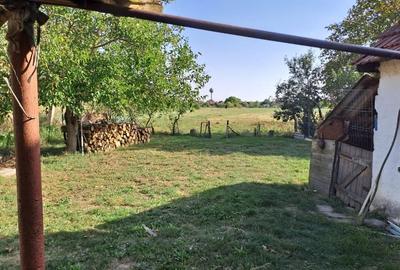 Teren intravilan Les/Bihor - 6