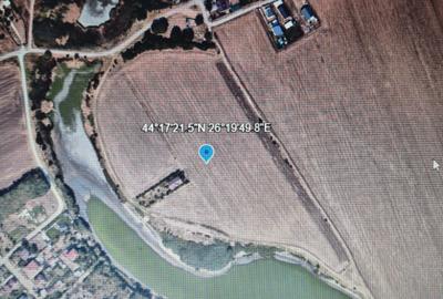 Teren intravilan,Frumusani, sat Pasarea - 1