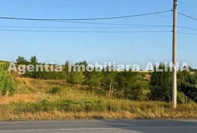 Teren de 9573 mp, în Sântuhalm - 1