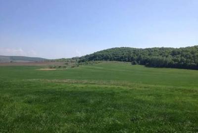 ReCO Teren extravilan in Dragesti spre Stracos 7200mp - 2