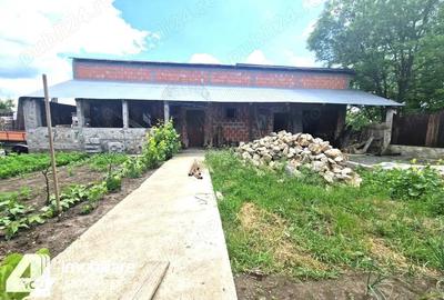 Casa in Loc. Pecica, teren 1602 mp, fs.17 ml, termoteca - 2