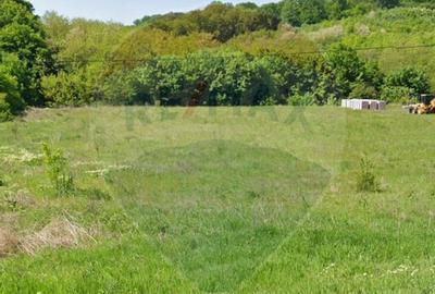 Teren intravilan de vanzare in Hidiselu de Jos, jud.Bihor - 5