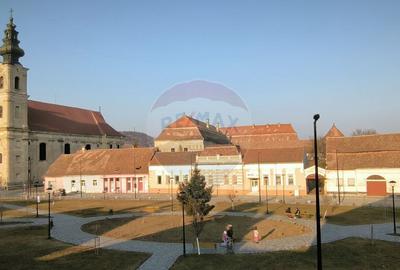 Casa cu istorie in inima Dumbraveniului 15 min. de... - 6