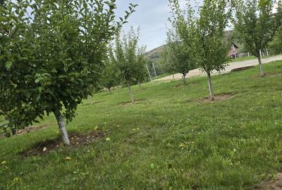 Spațiu comercial, în Daia - 1