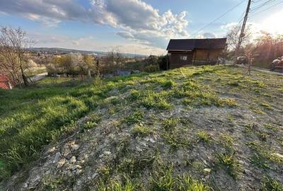 Spațiu comercial, în Cuștelnic - 6