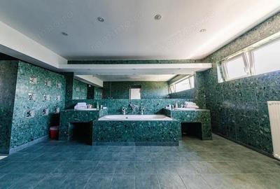 Vand pensiune functionala, pretabila si clinica sau alte activitati! - 12