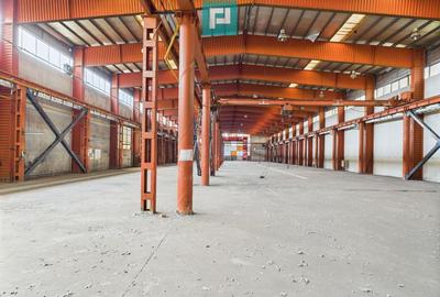 Hala industriala cu pod rulant ?i parcare betonata - 17