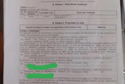 Teren de 10800 mp, în Tămășeu - 4