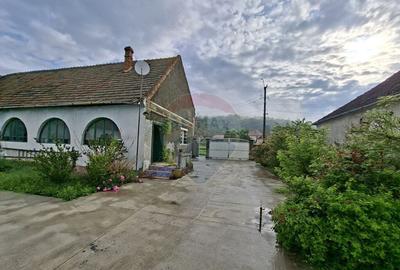 Curte 640 mp betonata in Pauli? | Acces auto + 2 spa?ii - 3