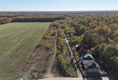 Snagov padure - Teren intravilan cu PUZ aprobat - 2