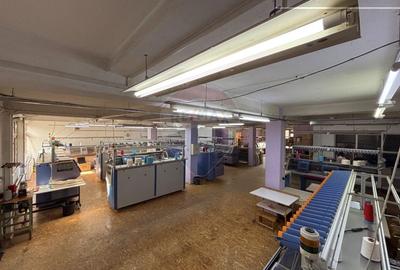 Spatiu industrial/ depozit/birouri de inchiriat in zona Turnisor - 2