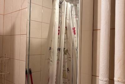 Apartament 2 camere sector 4 - 3