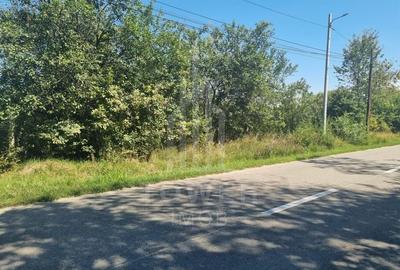 EXCLUSIVITATE! Teren la șoseaua principală | Tocile - 1