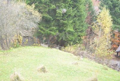 Busteni-Teren intravilan situat in Valea Alba in apropiere de partie - 14