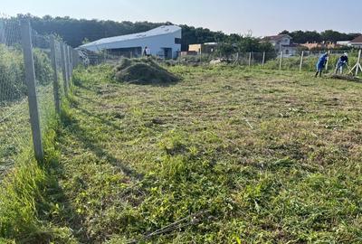 Teren zona premium, Padurea Verde - 3