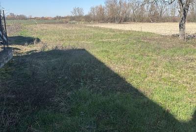 Casă cu 2 camere în Cociuba Mare - 4