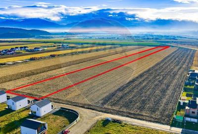 COMISION 0% Teren 24,845mp Bod /Ideal pentru dezvoltare rezidentiala - 3