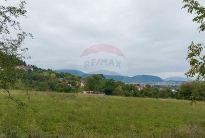 Proiect autorizat (AC) pentru constructia a 2 vile indivi... - 5