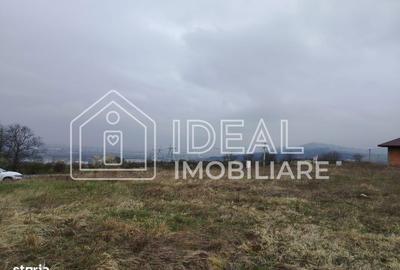 Spațiu comercial, în Roșia - 4