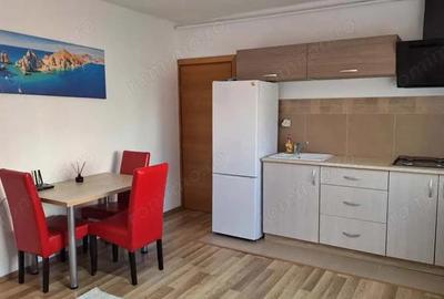 Apartament LUMINOS & PRIMITOR, Borhanci PARCARE inclusa Apartament LUMINOS & PRIMITOR, Borhanci PARCARE inclusa - 9