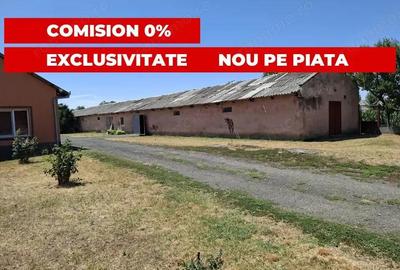 Proprietate mixta de vanzare in Nadlac Casa moderna + hala/grajd + teren mare - 4