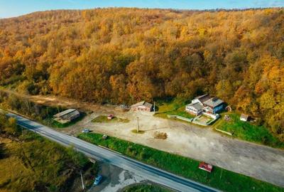 Pensiune 12 camere, vulcanizare, spălătorie pe DN7 - 10