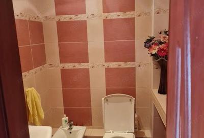 Apartament cu 2 camere decomandat în Șagului