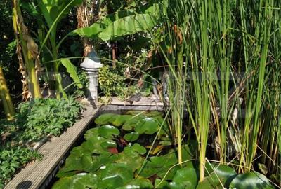 Casă cu 3 camere cu Teren 824 Mp în Elisabetin - 1