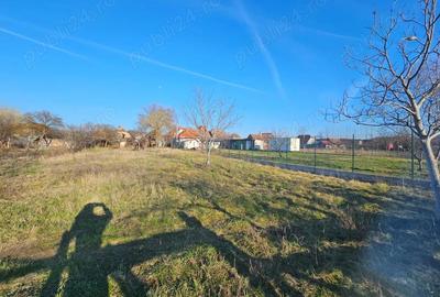 Casă cu Teren 900 Mp în Buteni - 2