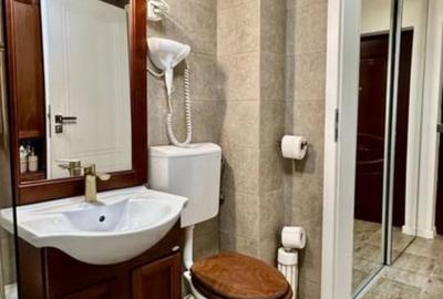 Apartament cu 2 camere semidecomandat, mobilat în Doamna Ghica - 9