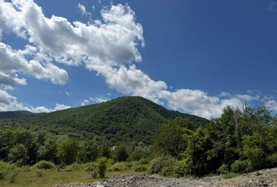 Teren Construcții intravilan de 1000 mp, în Cisnădioara - 6