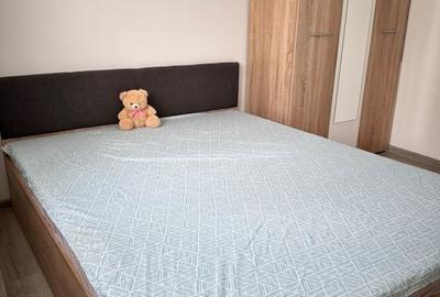Apartament cu 3 camere decomandat, mobilat în Gorjului - 6