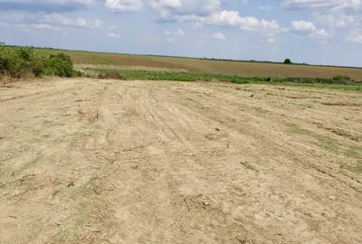 Teren intravilan de 10088 mp, în Butimanu - 4