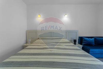 Casă cu 7 camere cu Teren 1023 Mp în Murighiol - 31