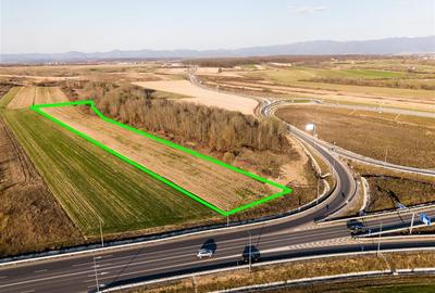 Teren intravilan de 11051 mp, în Periferie - 6