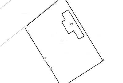 Casă cu 2 camere în Dridu - 7