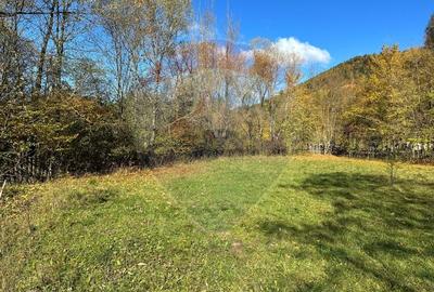 Teren de vanzare Cuiejdel 1350 mp Teren de vanzare Cuiejdel 1350 mp - 7