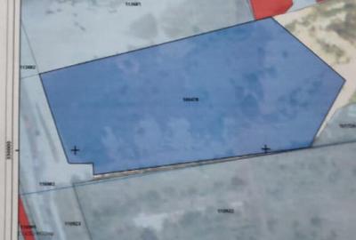 Pantelimon Centura - Teren Intravilan Construibil 9142 mp - - 2