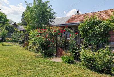 Teren cu casa de vanzare - 3