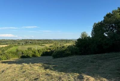 Teren agricol extravilan de 20000 mp, în Portărești - 1