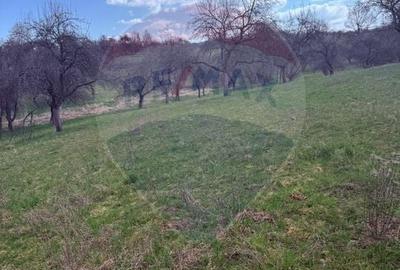 Teren Construcții de 6377 mp, în Hărnicești - 4