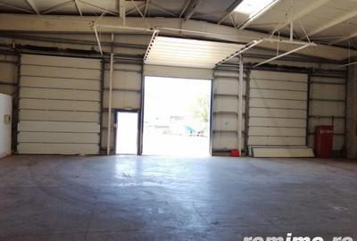 Spațiu comercial, de 2,500 mp, în Chiajna - 5