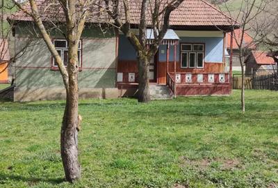 De vanzare casa de familie in Loc. Lunca de sus.