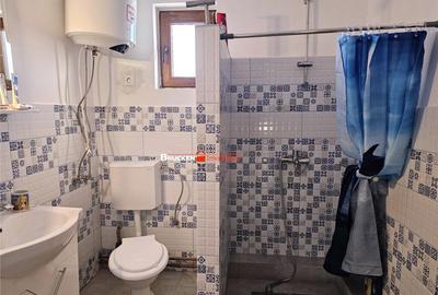 CASA DE VACANTA | VARCIOROG, BIHOR - 6