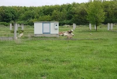 Teren intravilan de vanzare 32 parcele situate in comuna Gepiu, Bihor - 11