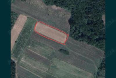 Teren de 2500 mp, în Bercioiu