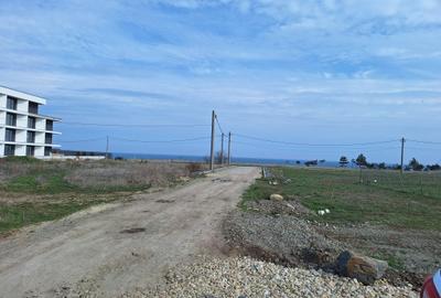 Costinesti Epava  1050 mp intravilan,asfalt - 4