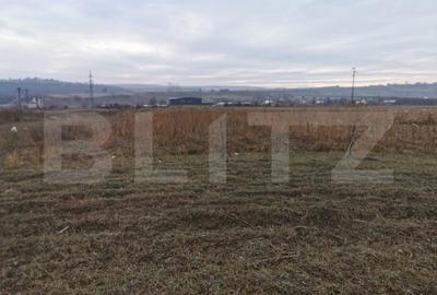 Teren de 5900 mp, în Pătrăuți - 4