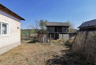 Vand teren cu casa intavilan Curtisoara jud Olt - 4