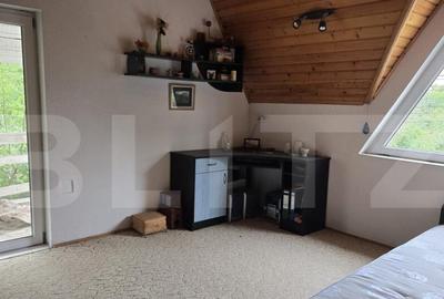 Casa 5 camere , 300 mp; Teren - 2000 mp . Viile Satu Mare - 8